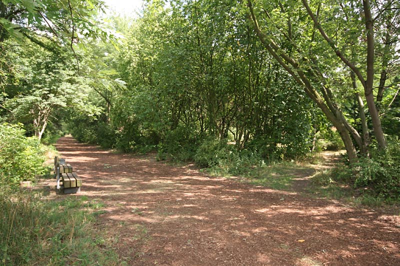 Rudower Höhe in Berlin Neukölln